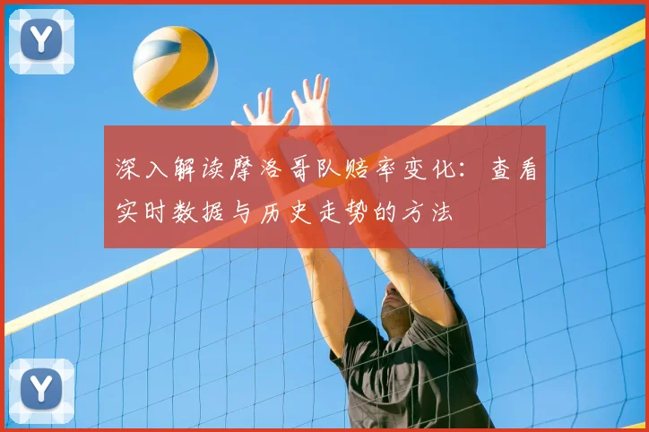 深入解读摩洛哥队赔率变化:查看实时数据与历史走势的方法